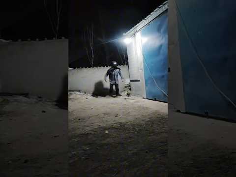 Thief capture light! #shorts #miraxfact