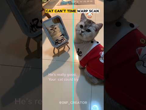 Cat Can't Time Warp Scan 🗿☠️,#cat #trolfaceedit #trollface #shorts #timewarpscan