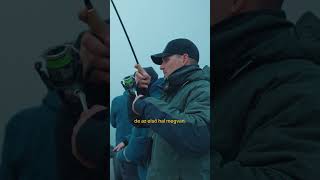 Te hogy vezeted balinra?