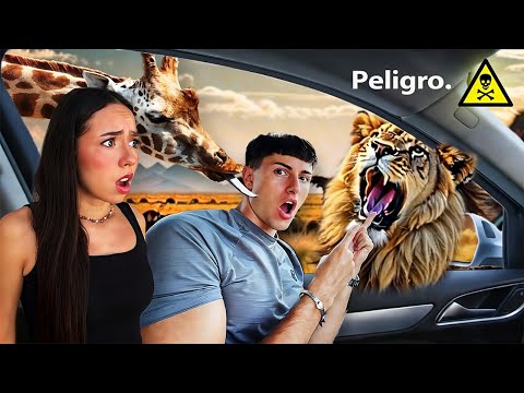 ⚠️24 HORAS ALIMENTANDO ANIMALES PELIGROSOS⚠️