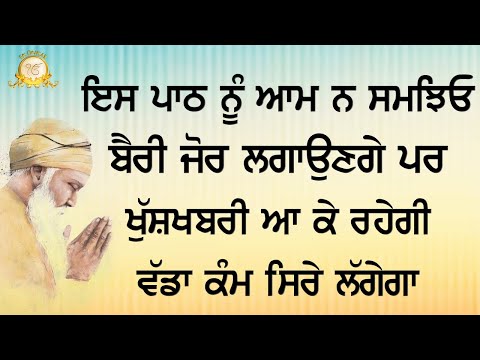 ਵੈਰੀ ਜ਼ੋਰ ਲਗਾਉਣਗੇ ਪਰ ਕੰਮ ਸਿਰੇ ਲਗ ਕੇ ਰਹਿਣਗੇ | Powerful Path | Ek Onkar