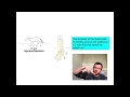 Evolutionary Evidence and Concepts
