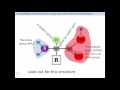 Organic Molecules and Biological Functions
