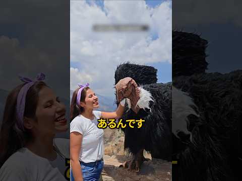 この巨大な鳥はお金を要求してくるかもしれません