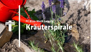 Kräuterspirale bauen 🌿 | Schritt für Schritt Anleitung & nachhaltige Tipps