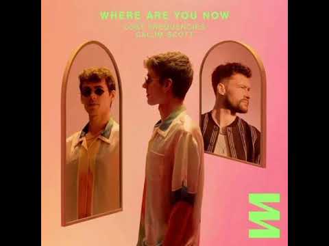 Lost Frequencies & Calum Scott - Where Are You Now (Extended Mix)