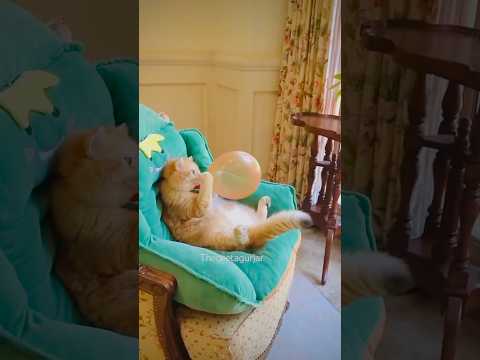 Bony ka balloon phoot gya😳 #funny #comedy #cutebaby #trendingshorts #viralvideo #unfrezzmyaccount