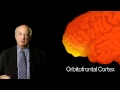 Understanding the Brain and Violent Behavior