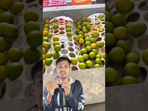 সাইজ বাছাই করে