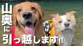 犬のために山奥に引っ越す事になりました!!