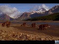 Exploring Earth's Geologic History and Time