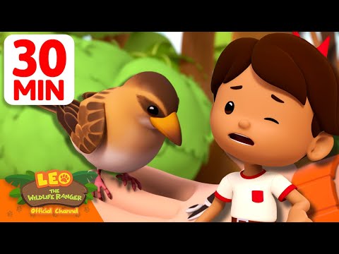 PROTECT THE BAYA WEAVER AND ITS NEST! 🐦🪺 | 30 Min | Leo the Wildlife Ranger | #animals