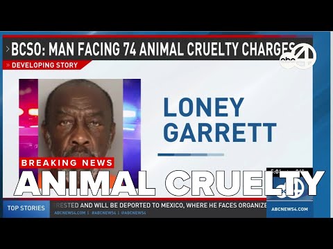 YouTube video thumbnail: South Carolina Man Faces 74 Animal Cruelty Charges After 35 Dogs Seized