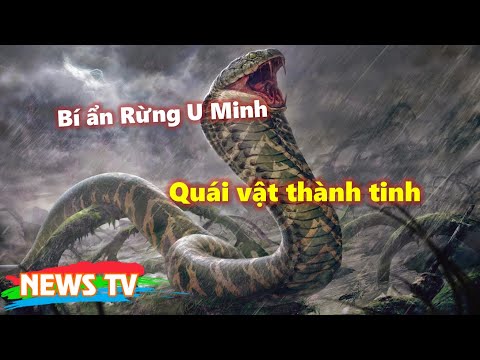 Bí ẩn Rừng U Minh - Câu chuyện về quái vật thành tinh trong truyền thuyết
