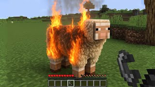 Real Life Fire vs Sheep - Realistic Minecraft Compilation