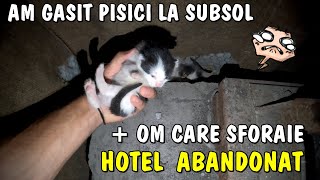 Am găsit o Pisică cu pui la subsolul Hotelului ABANDONAT + Un om care sforăie în HOTEL