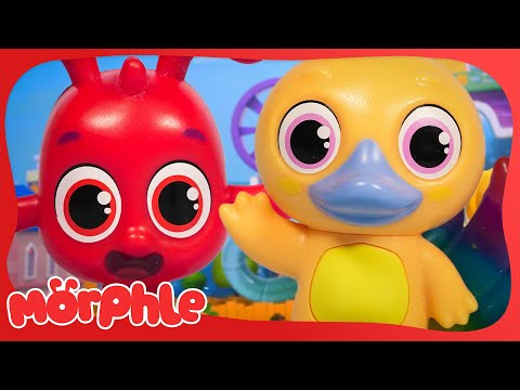 Chroma Paints! 🖌️| Fun Animal Cartoons | @MorphleTV  | Learning for Kids