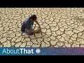 Understanding Climate Change Impacts
