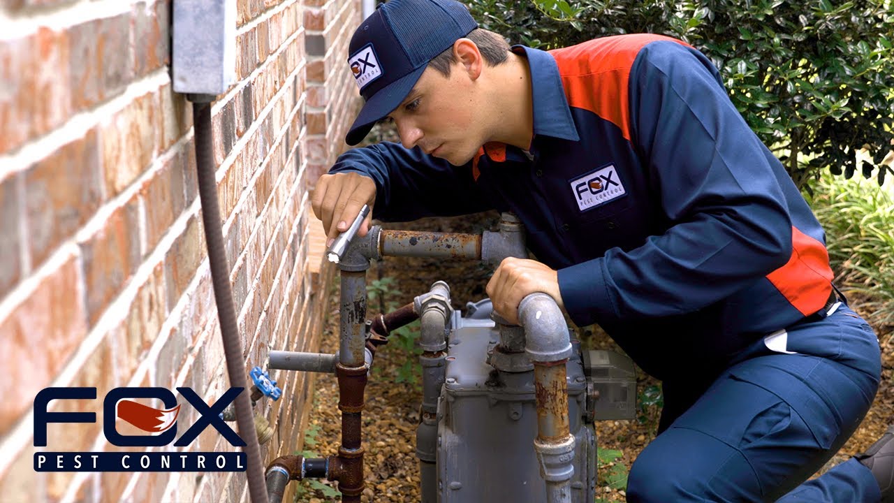Why you should choose Fox Pest Control in Southlake