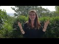 Owl Anatomy and Behavior Assessment
