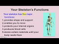 Human Body Systems Review Challenge