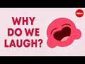 The Science Behind Laughter and Its Evolution