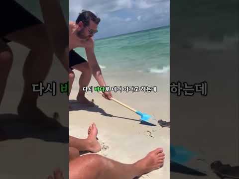 춤추는 가오리.. 그 결말은?