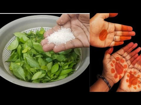 இப்படி சக்கரை சேர்த்து மருதானி அரைங்க/ mauthani araika tips/ tips and tricks/ mehandi tips