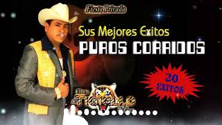 El Tigrillo Palma Corridos Pesados Mix ⚡20 Exitos De El Tigrillo Palma