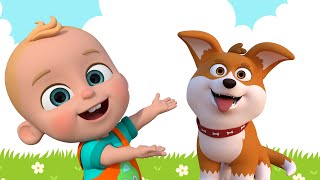 Köpek Kardeş Nerdesin? - Çocuk Şarkısı - Bebekler İçin Hayvan İsimleri