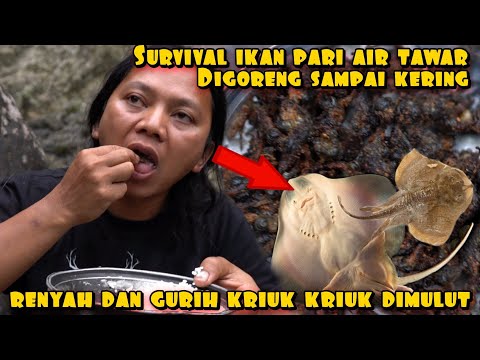 IKAN PARI AIR TAWAR RENYAH DAN GURIH