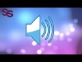 Understanding the Transcript
