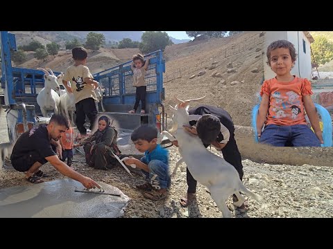 Hamid’s Tough Choice 💔 | Selling Goats & Kids for His Family’s Future 🐐➡️🏡