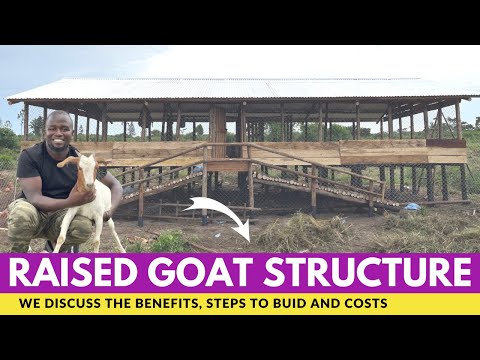 Costs and Benefits of a Raised Goat Structure