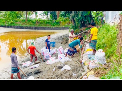 অল্প টাকায় কি ভাবে লক্ষ টাকার পুকুরের পাড় মেরামত করলাম #farming #fish #villagelife