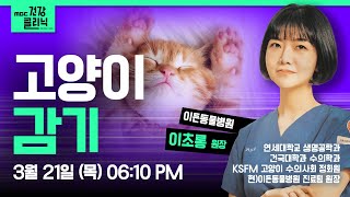 (Live) MBC건강클리닉 🔥 | 오늘의 주제 : 고양이 감기 | 이초롱 수의사 | 240321 MBC경남 다시보기