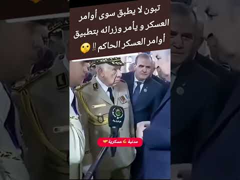 رئيس الجمهورية🇩🇿✂️شنقريحة🚀 #الجزائر #تبون #army #المغرب #saudiarabia #shortvideo #trend #funny