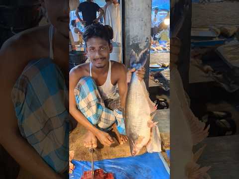 5 KG Amazing Pangas Fish Cutting Skills #shorts #fishcutting #fish