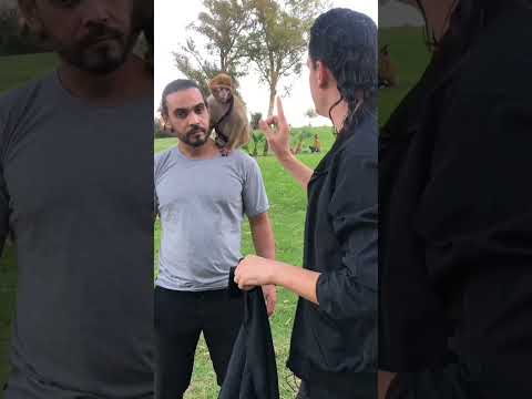 😳 تخيّل قرد كان وسط الناس… وفجأة ختفا قدّام عينيهم! 🐒💨