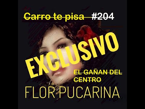 One of the top publications of @florpucarinacoleccionmusic2728 which has 63 likes and 3 comments