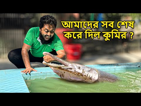 আমাদের সব শেষ করে দিল কুমির? কি হবে এবার?