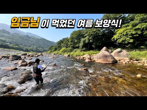 최고급 어종이 계곡으로 올라탄다!! 임금님 수라상에 올랐던 귀한 보양식이 바글바글! 이렇게 맛있다고??