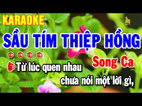 Karaoke Sầu Tím Thiệp Hồng Song Ca Nhạc Sống Trữ Tình Dễ Ca 2025 | Thanh Hải