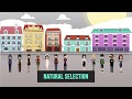 Genetic Mutations and Natural Selection
