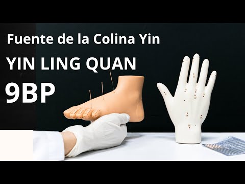 Presiona Aquí Para VARICES, PROBLEMAS DE CIRCULACIÓN