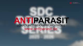 Sensationssieger! Highlights SDC Rookies Series - Event 08 - 2026