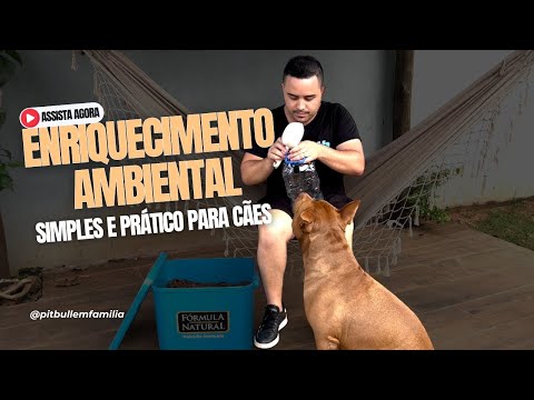 ENRIQUECIMENTO AMBIENTAL PARA MEUS PITBULLS 🐶 #assista