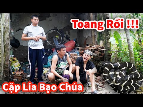 Hậu Cáo -