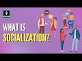 Understanding Socialization
