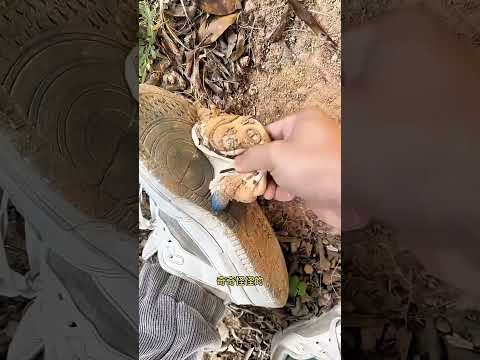 Cosa pegajosa en el camino 😮